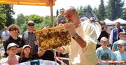 Dzień Miodu w skansenie w Chorzowie. "To jeden z największych darów natury". Zobaczcie zdjęcia