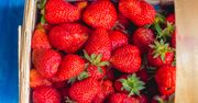Banalny sposób. Tak w mig poznasz, czy truskawki były pryskane chemią