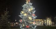 Celestynów: Miasto rozświetliły ozdoby i piękna choinka