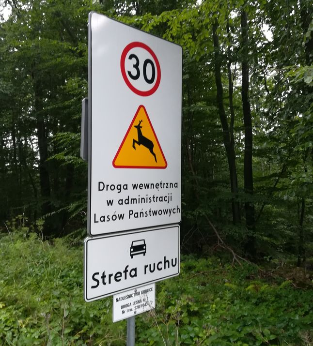 Gdy pojawią się nowe regulacje i oznakowania, nikt nie zada już pytania o to, czy można wjechać na leśną drogę.