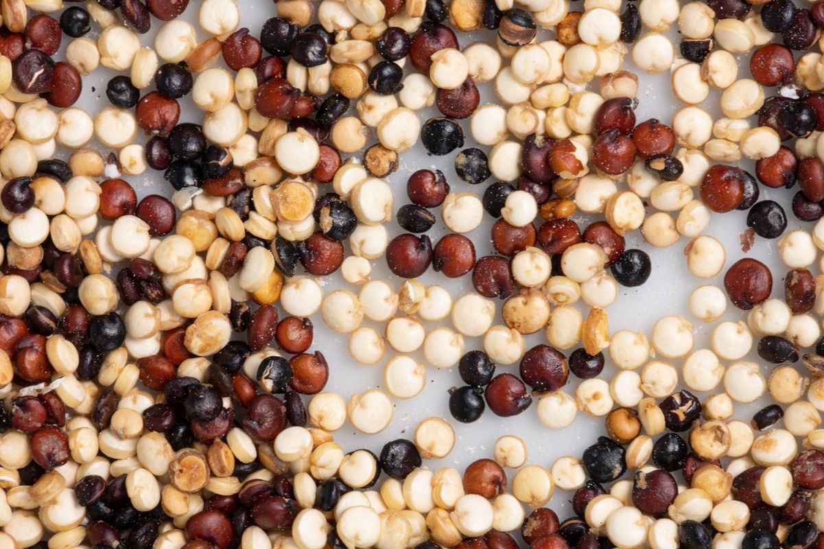 Quinoa emerges as nutrient-rich superfood aiding weight loss: Time to rethink your diet