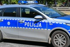 Mężczyzna trzyma w ogródku lwy i tygrysa. Usłyszał zarzuty