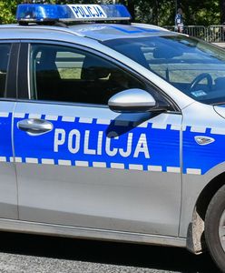 Mężczyzna trzyma w ogródku lwy i tygrysa. Usłyszał zarzuty