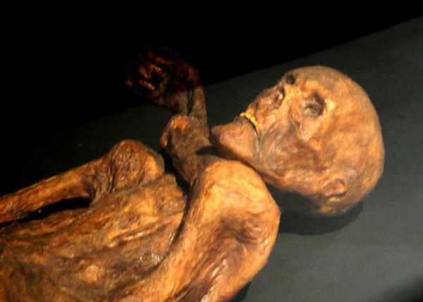 Tak się wygląda po 5300 latach w lodzie - Ötzi (fot. 120 CC-BY)