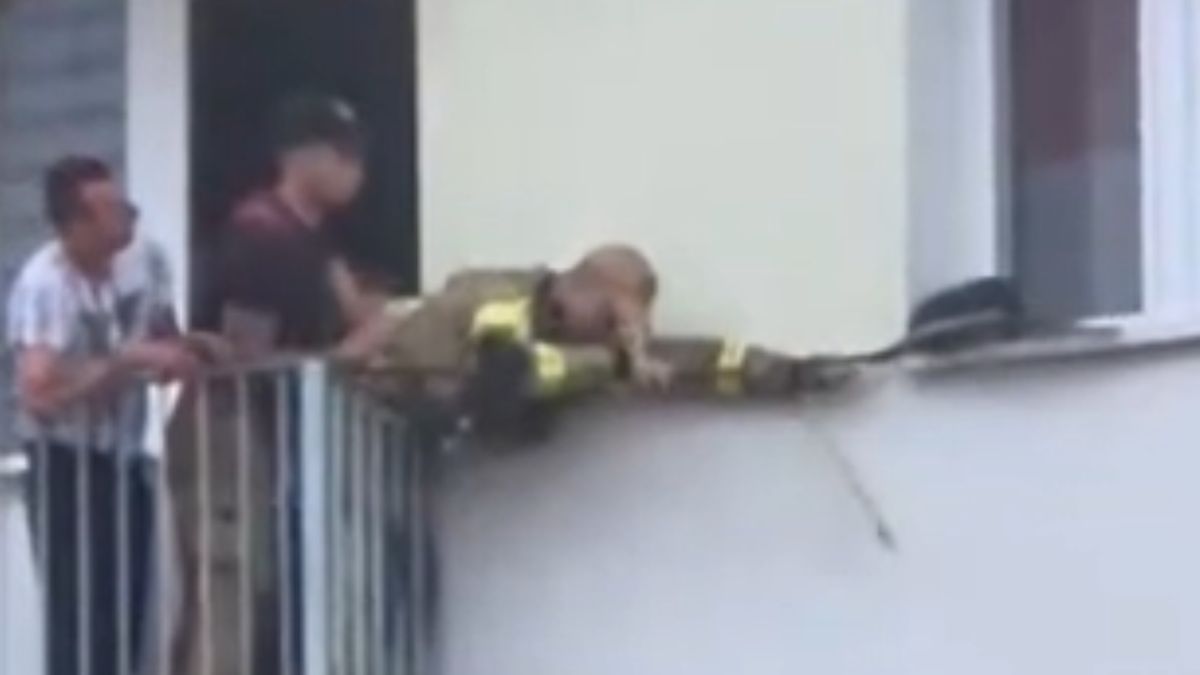 Strażacy uratowali kota.