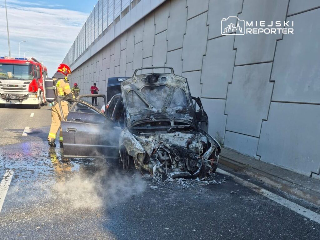 Strażak w mundurze gaśniczym kontrolujący spalone auto na drodze, obok widać wóz strażacki.
