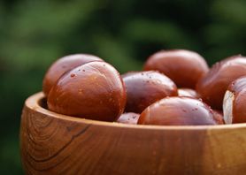 Wyciąg z kasztanowca w profilaktyce i leczeniu żylaków