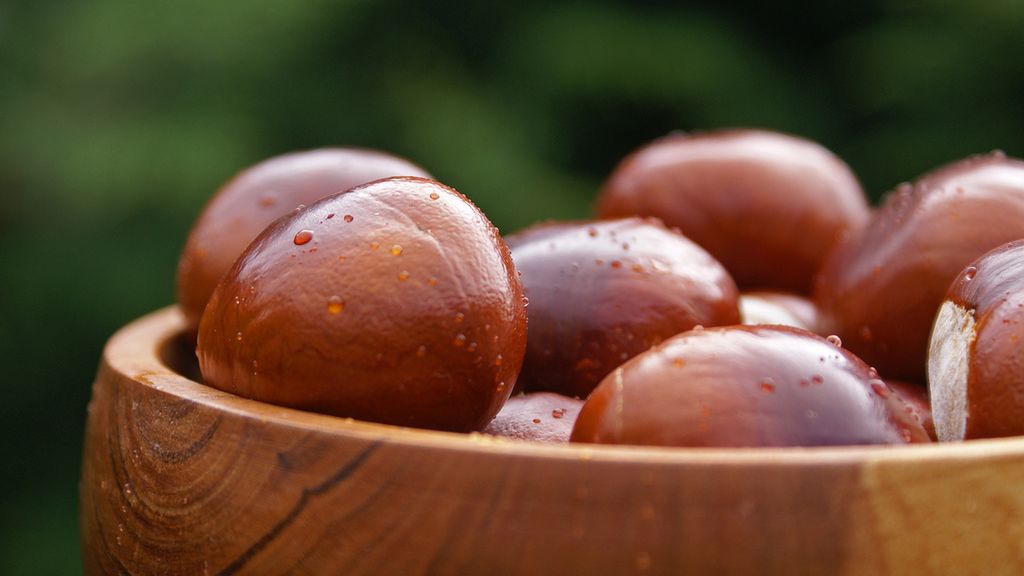 Wyciąg z kasztanowca w profilaktyce i leczeniu żylaków