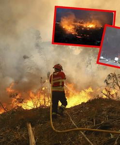Pożary lasów w Portugalii. Nie żyje 7 osób, w piątek żałoba narodowa