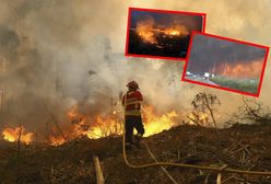 Pożary lasów w Portugalii. Nie żyje 7 osób, w piątek żałoba narodowa