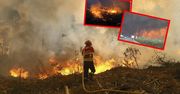 Pożary lasów w Portugalii. Nie żyje 7 osób, w piątek żałoba narodowa