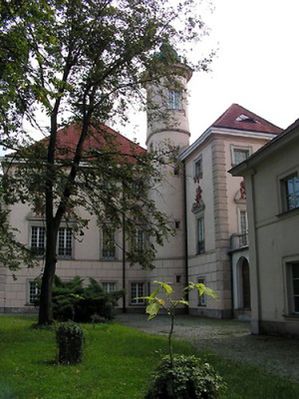 Obraz