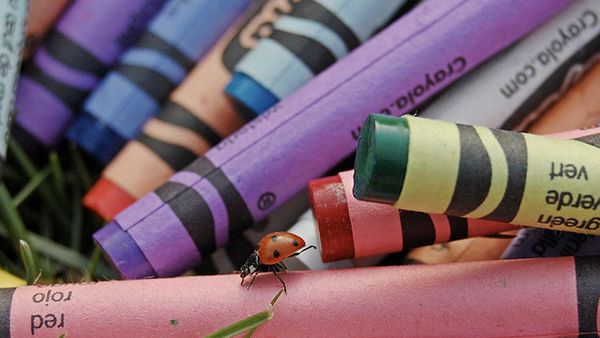 500 tysięcy biedronek na sesji fotograficznej Vice Magazine [wideo] 1