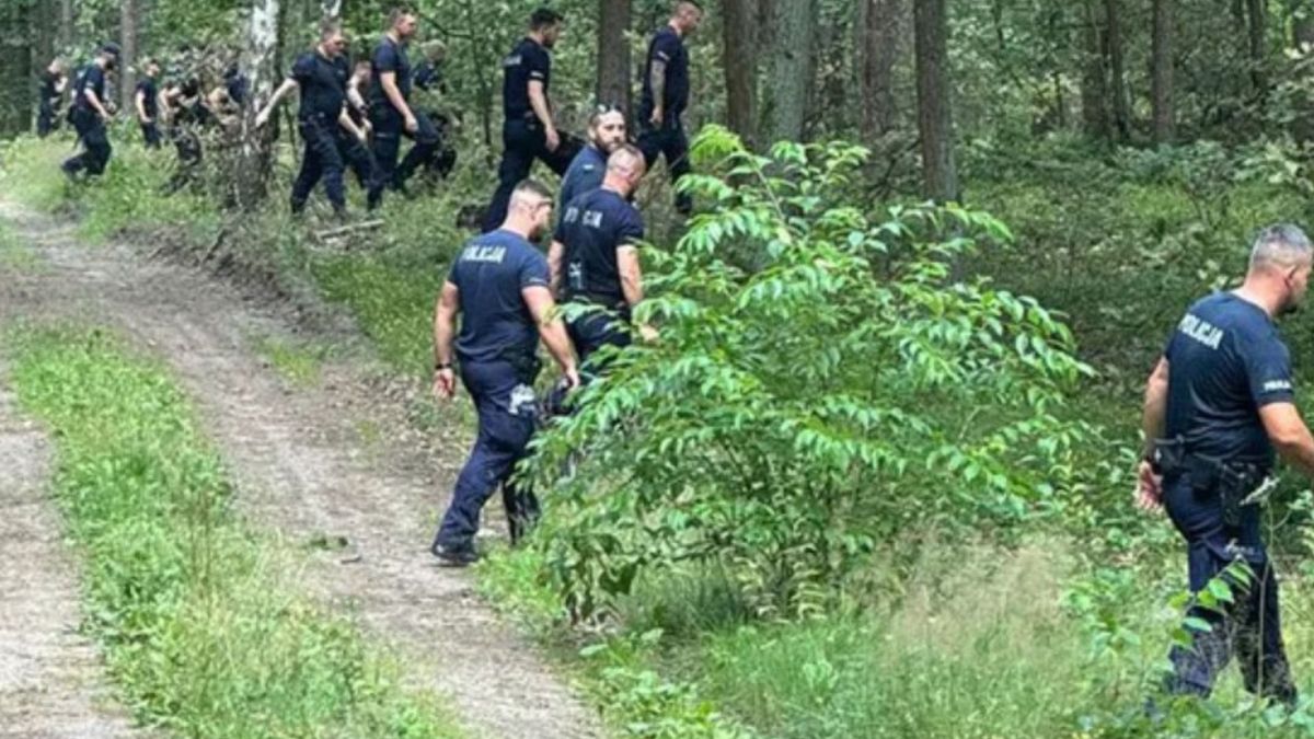 Tajemnicze zaginięcia w lasach. W akcji policja