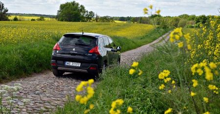 Człowiek vs. hybryda [test autokult.pl]