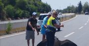 Nie wiedzieli, co widzą. Zaczęli gwałtownie hamować