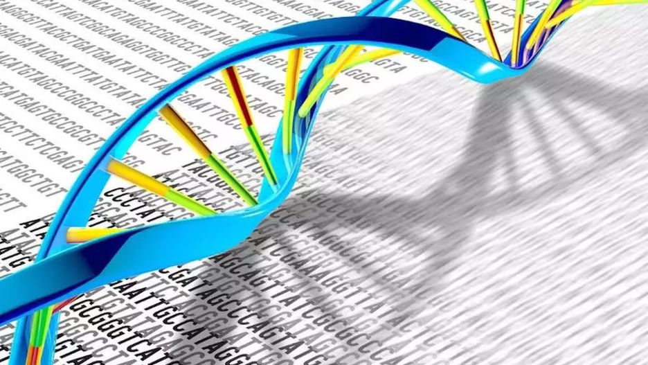 DNA
