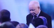 Złe wieści dla PiS w nowym sondażu. "Instynkt samozachowawczy Polaków"