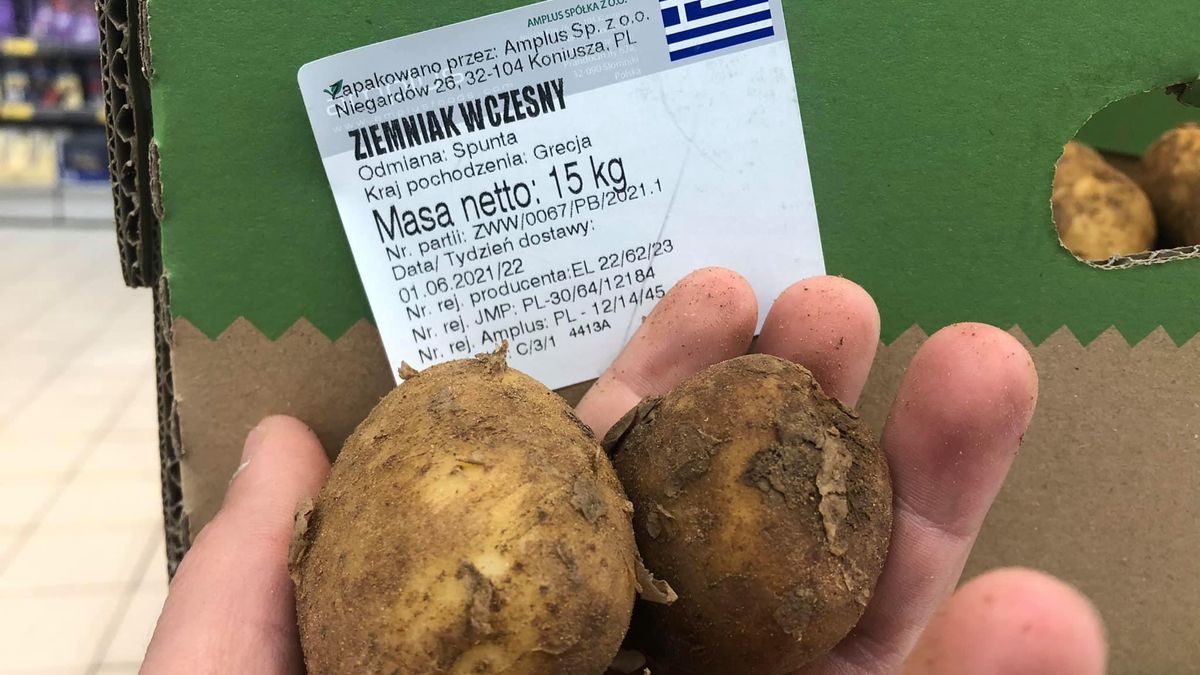 Młode ziemniaki z Grecji.