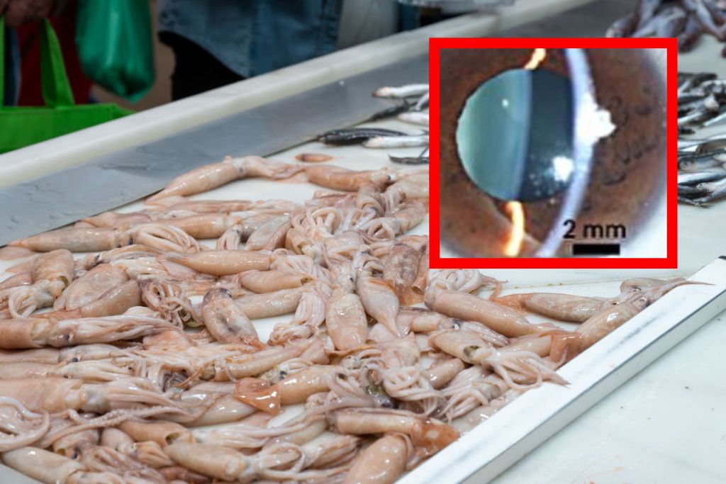 Nowy wirus w Chinach. Odnotowano pierwsze przypadki u ludzi