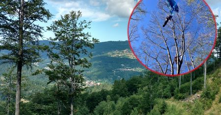 Wypadek w Beskidach. Kobieta uwięziona na 25-metrowym drzewie