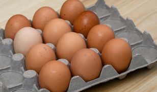 Skontrolowali jaja. Nagminnie powtarzały się te błędy
