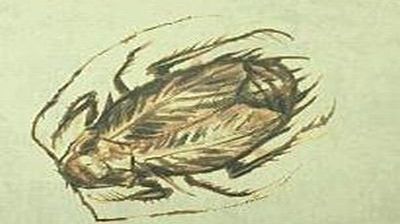 Zabójczy robal w Fallout 3 1