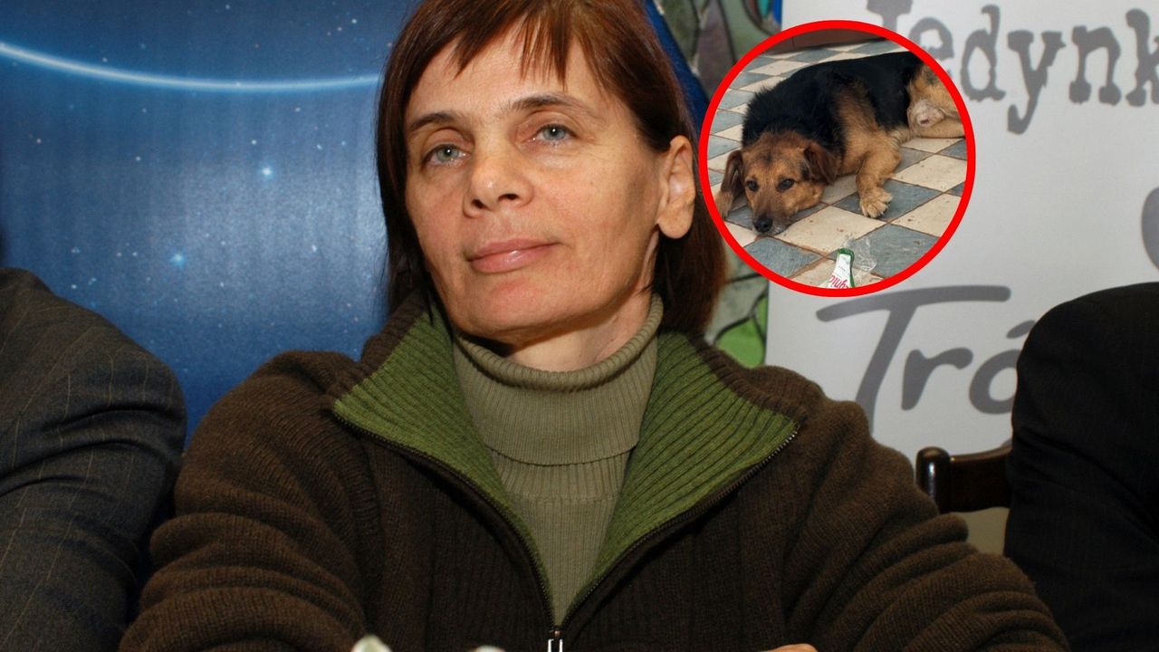 Wstawiła zdjęcie psa. Na Ochojską spadła fala krytyki