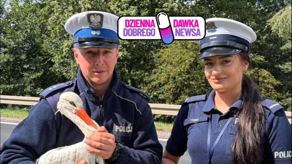 Policjanci uratowali rannego bociana
