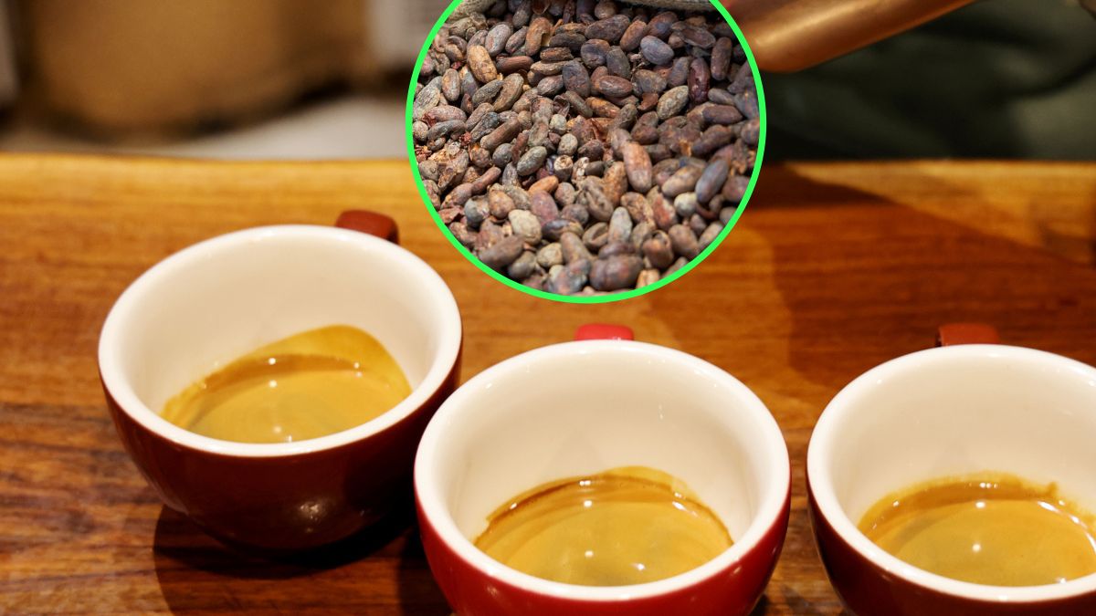 Gorąca czekolada zawiera prozdrowotne związki