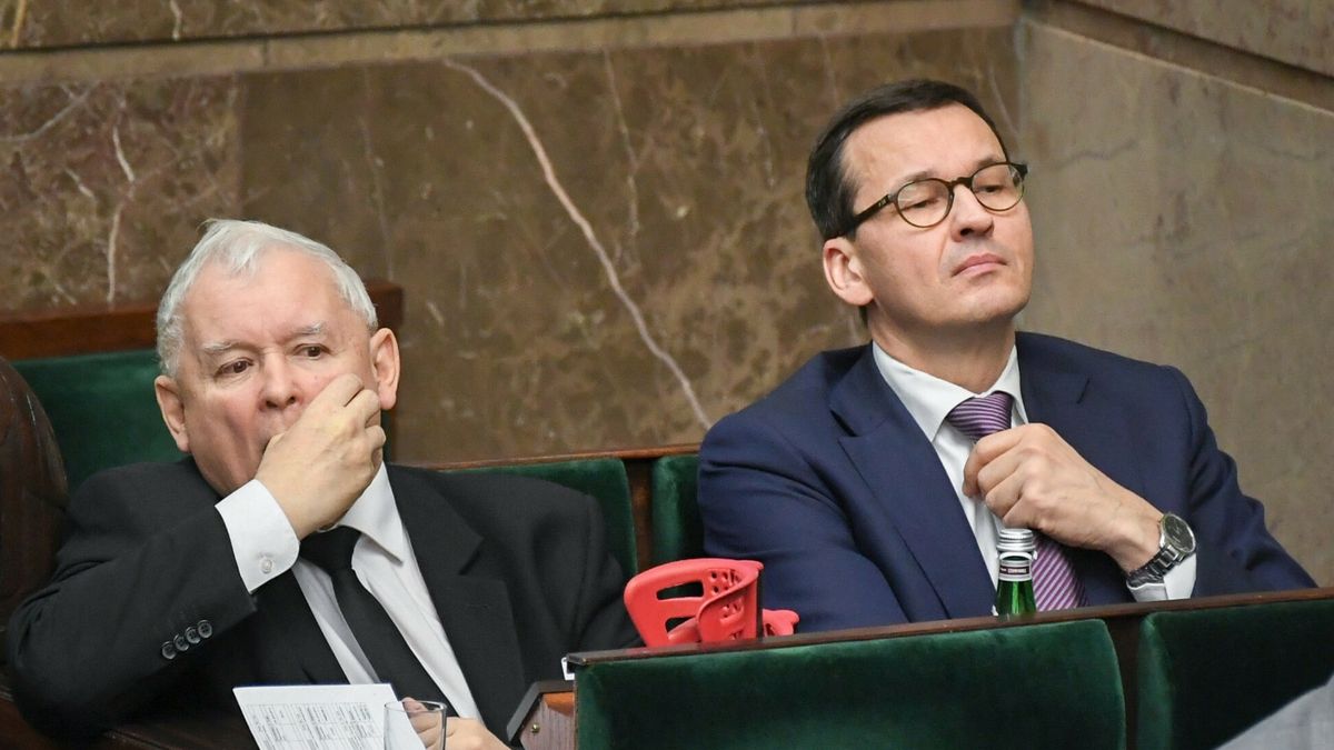Premier Morawiecki oraz Jarosław Kaczyński przyczynili się do słabego złotego. W jaki sposób?