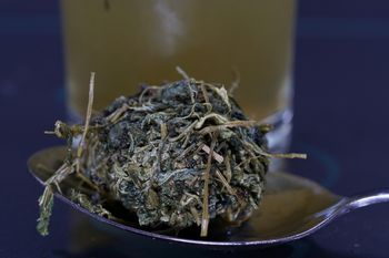 "Zioło długowieczności". Naukowcy zbadali jego działanie