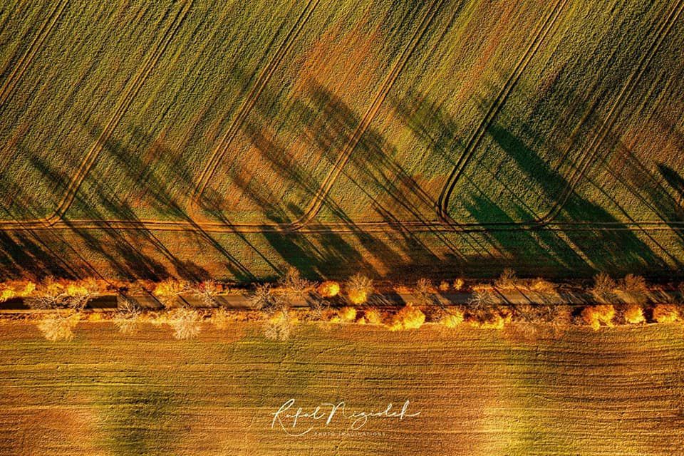 Piękno polskiej jesieni na zdjęciach naszych czytelników. W tym roku jest wyjątkowa! 10