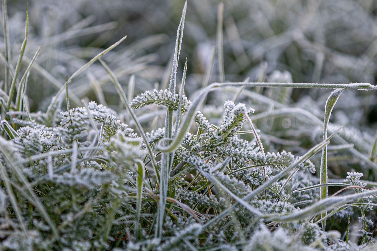 Arktyczne powietrze nad Polską. IMGW zapowiada mróz do -8°C