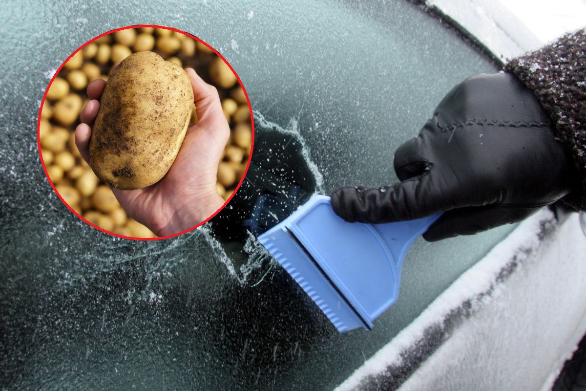 Ta sztuczka pomoże przetrwać kierowcom zimowe poranki. Wystarczy... ziemniak