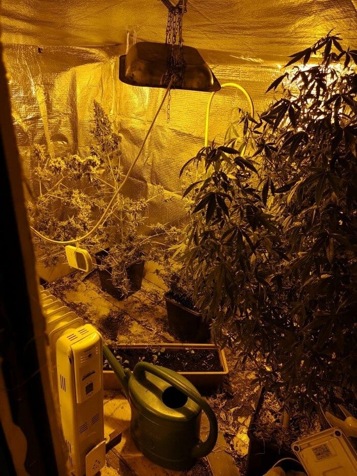 Nielegalna plantacja marihuany na poddaszu | fot. KMP Lublin