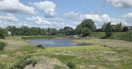 Kostrzyn walczy o klimat i przywraca dawny staw. Połowa prac już za nami