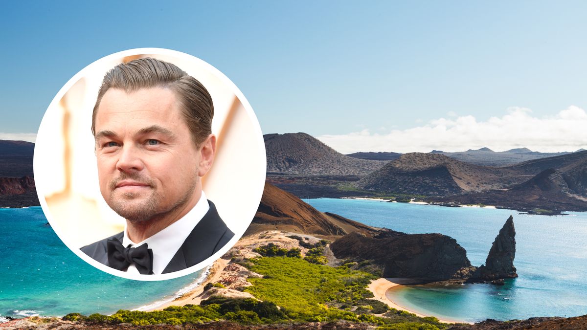 Leonardo Di Caprio wspomógł odbudowę dzikiej przyrody na Wyspach Galapagos