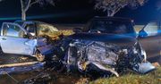 Wielkopolskie: Tragiczny wypadek na DW309. Nie żyje 28-latek