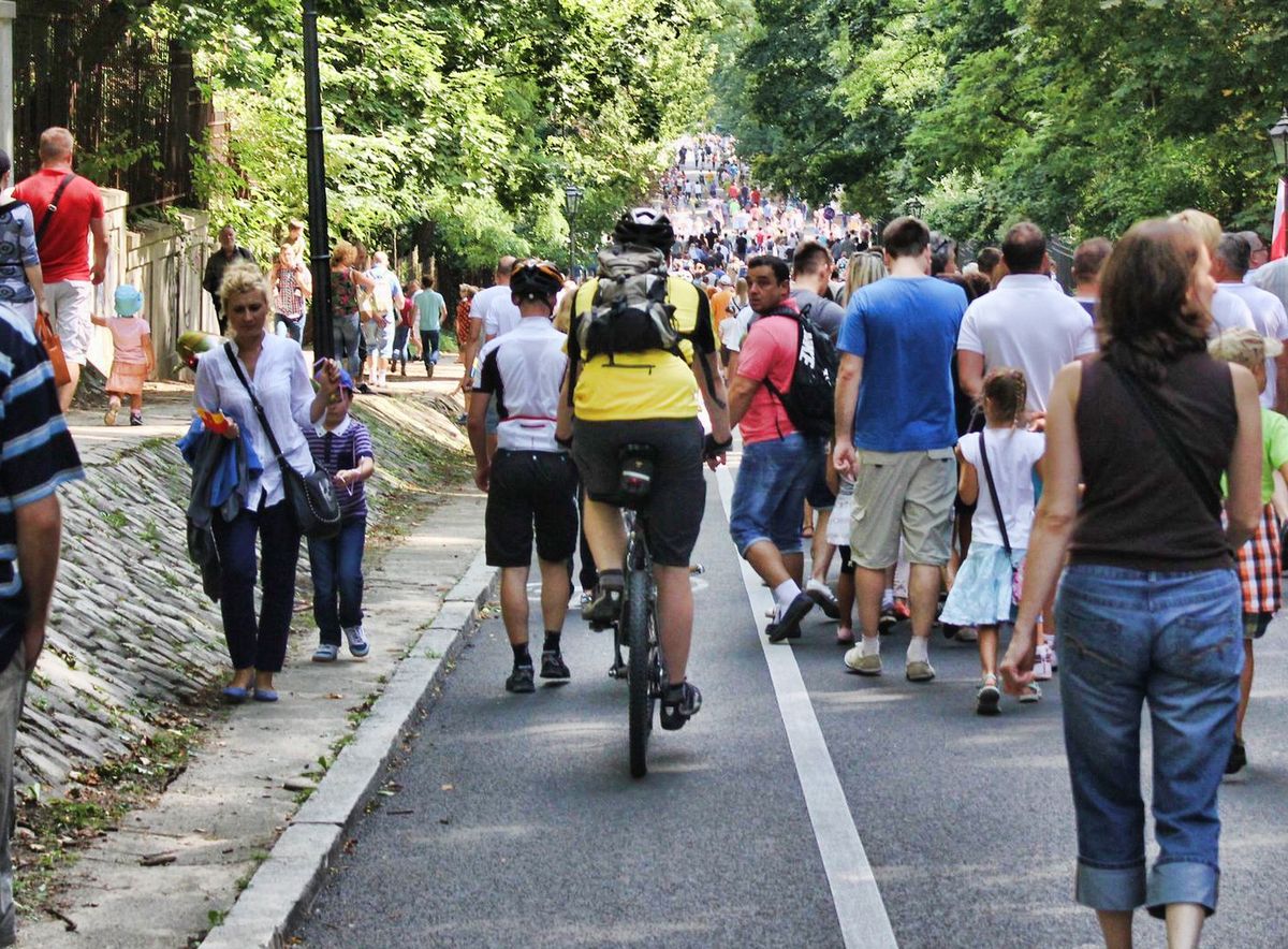 Przejeżdżanie przez pasy - 100 zł kary. Brak dzwonka - kilkaset. Za co możemy dostać mandat?