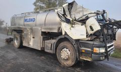 Próbował ominąć sarnę. Cysterna z mlekiem uderzyła w drzewo