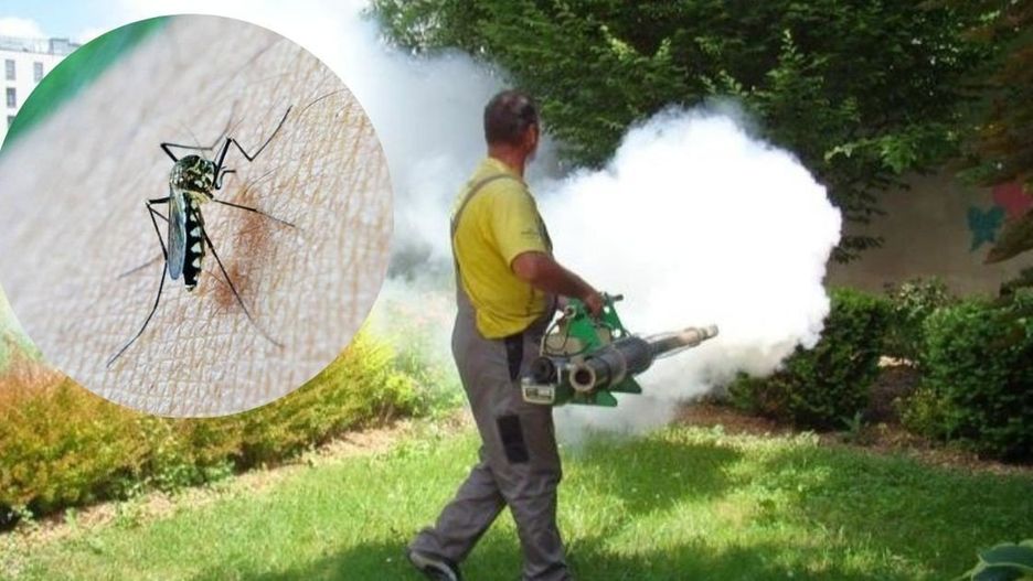 W Oświęcimiu miasto walczy z komarami od 2002 roku