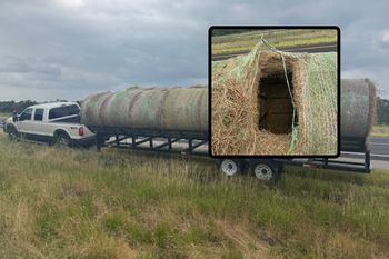 Bele siana były przykrywką. Policjanci odkryli, kto był w środku