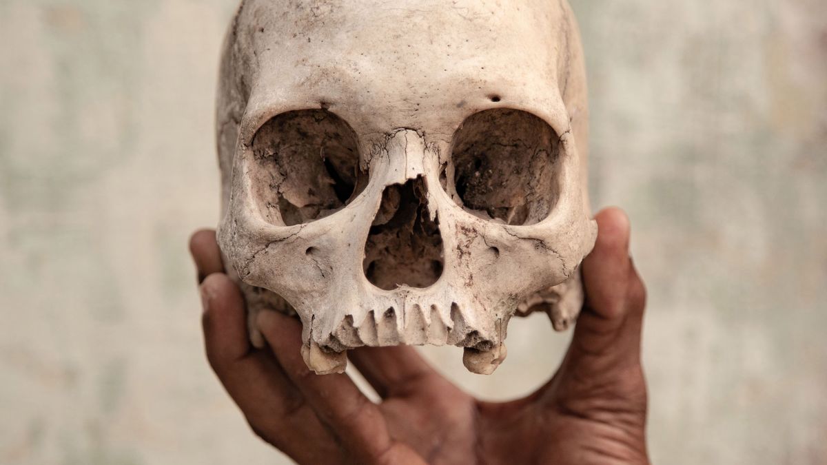 Kontrowersyjny materiał o samobójstwach wygrał Sony World Photography Awards 2019 1