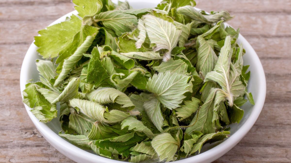 Herbatka z liści poziomki wesprze proces utraty wagi 