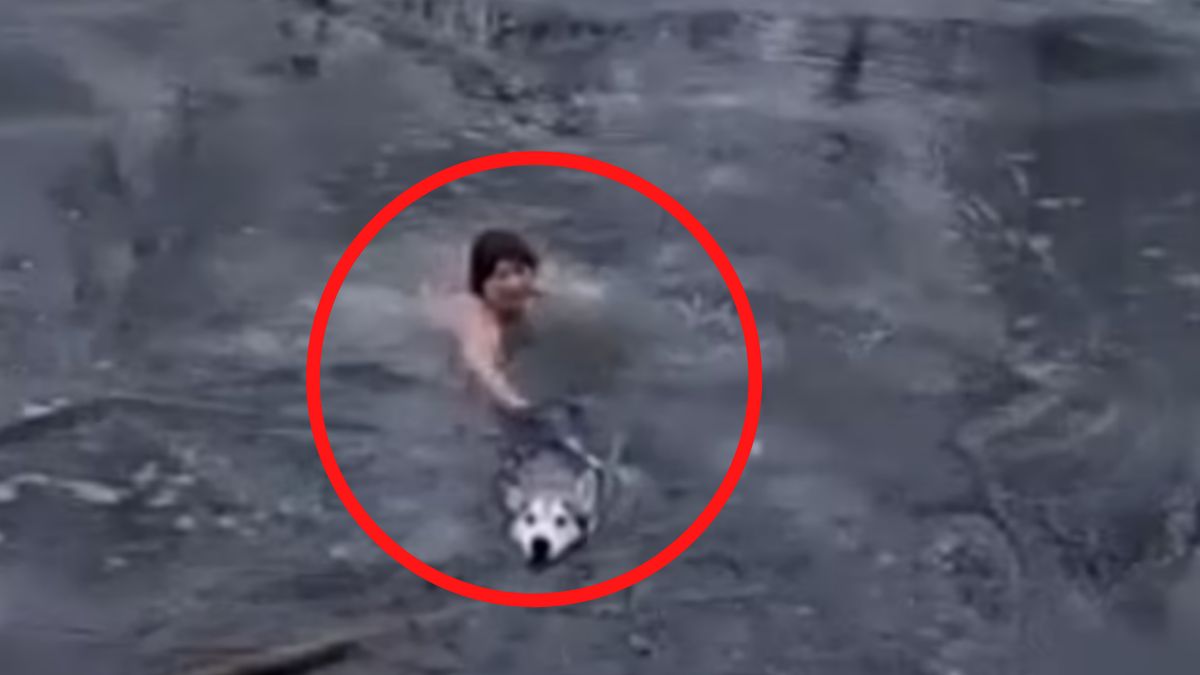 Wskoczyła do lodowatej wody, by uratować psa 