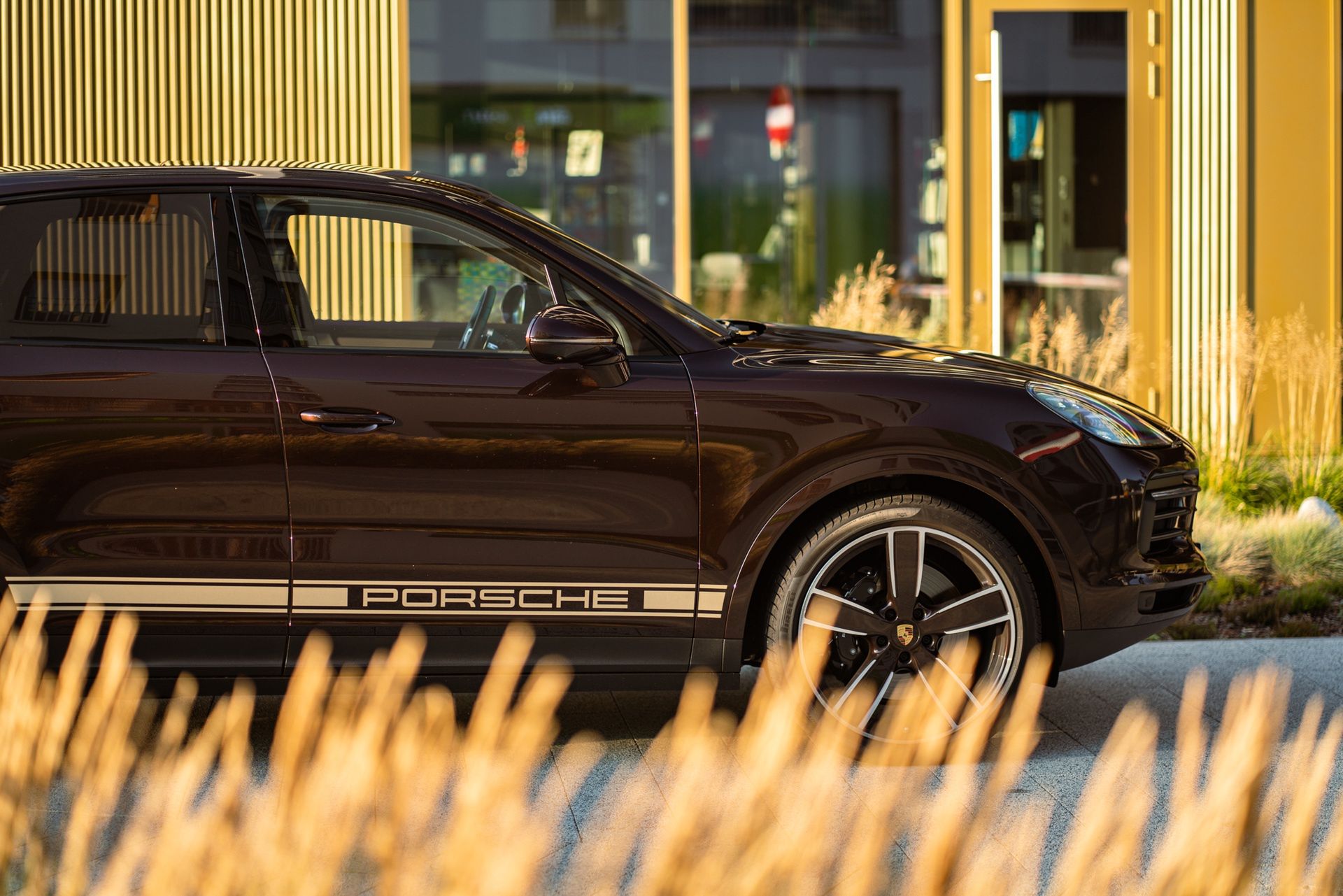 Porsche Cayenne S Platinum Edition (2022)