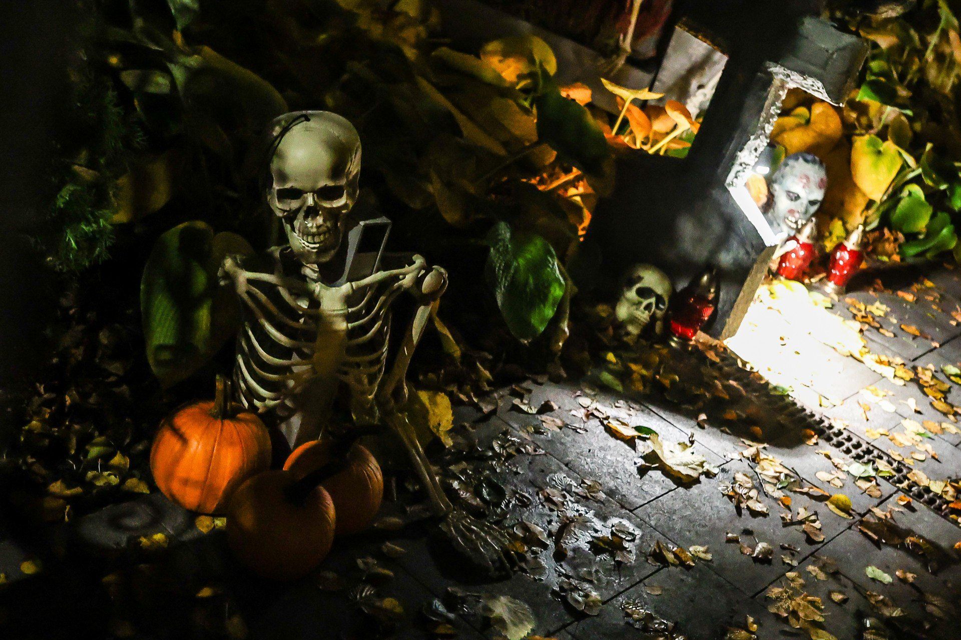 PIĄTEK: Koreańska Noc Grozy