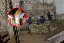 Hiszpańscy badacze w euforii. Przypadkowe odkrycie z XIV wieku