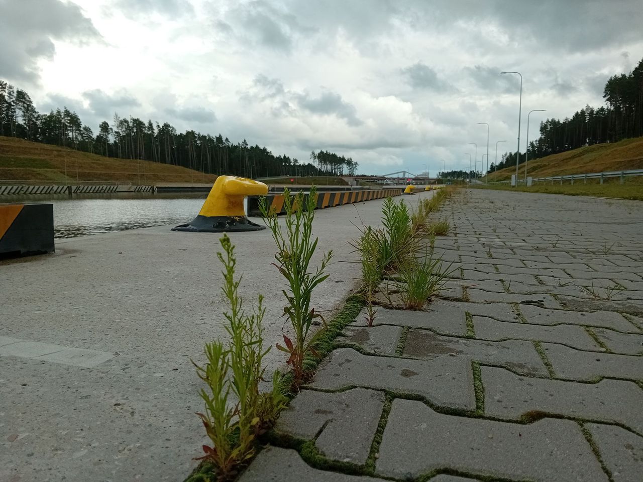 Przekop Mierzei Wiślanej